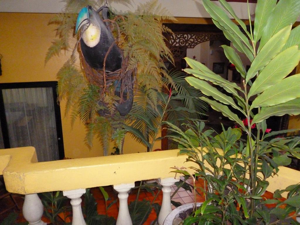Hotel Don Carlos サンホセ エクステリア 写真